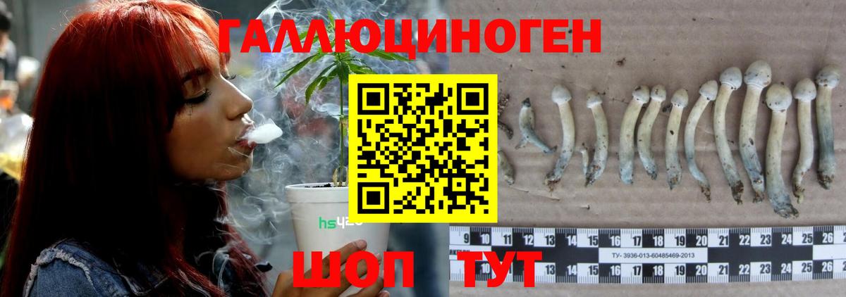 Псилоцибиновые грибы мухоморы  Вход с VPN  Псилоцибиновые грибы Cubensis  Тихорецк 